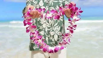Mermaid Dreams Bed And Breakfast Kealakekua Bed & Breakfast
