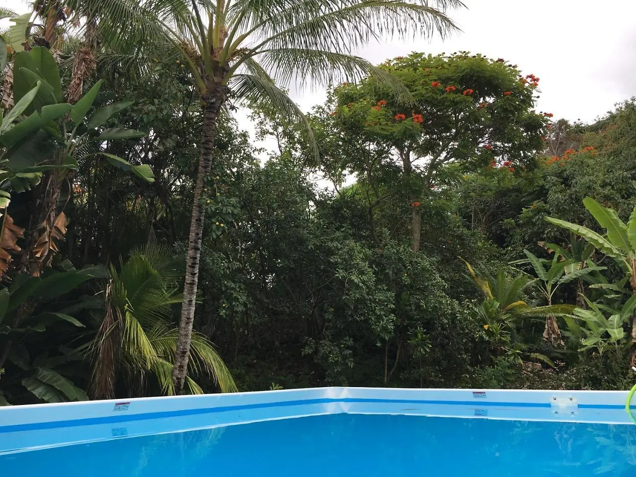 Mermaid Dreams Bed And Breakfast Kealakekua 3*,  USA